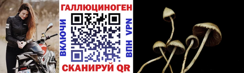 Галлюциногенные грибы MAGIC MUSHROOMS  Ворсма 