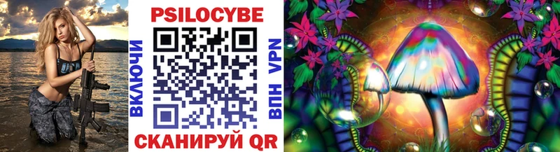 Псилоцибиновые грибы Psilocybe Ворсма
